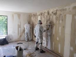 Best Basement Mold Removal  in Bartonsville, MD